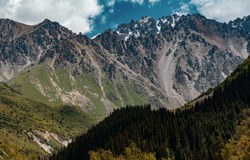 Хвойное ущелье
